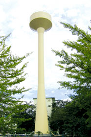 Si